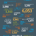 AOM_AnnualReport_STATS_2020_DIGs