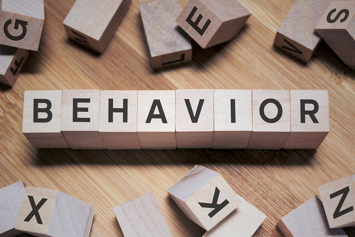 News-BEHAVIOR