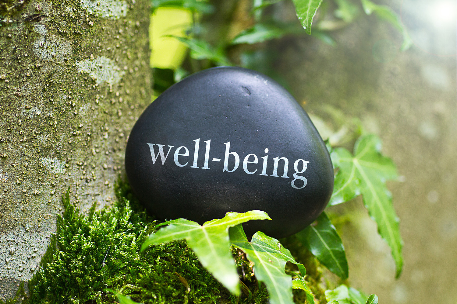 News-WELL-BEING