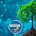 February2025Collectionsbannerimageoftreeanddata