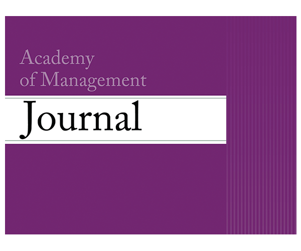 journal of management research
