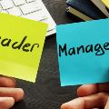 leader-manager